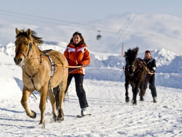  Skijoring su Sigoyer